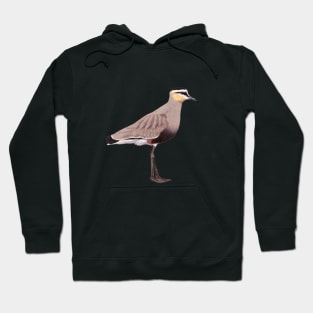 Sociable Lapwing illustration Hoodie